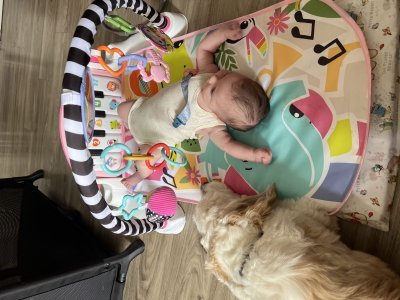 Baby photo