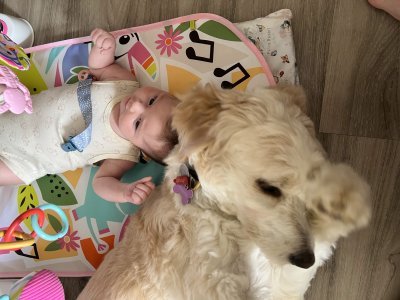 Baby photo