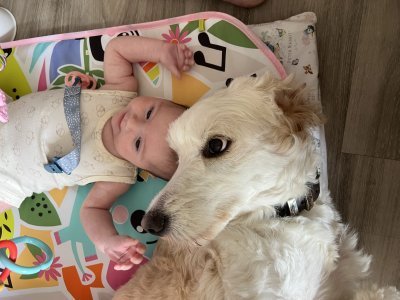 Baby photo