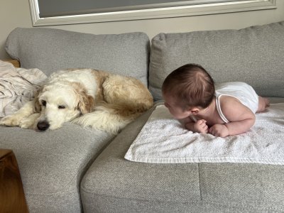 Baby photo